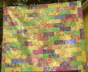 Nancy Teel IMG_6579a