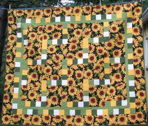 Sunflowers IMG_6589a