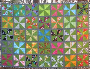 Toni Meehan IMG_7370a